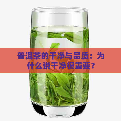 普洱茶的干净与品质：为什么说干净很重要？