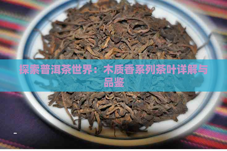 探索普洱茶世界：木质香系列茶叶详解与品鉴