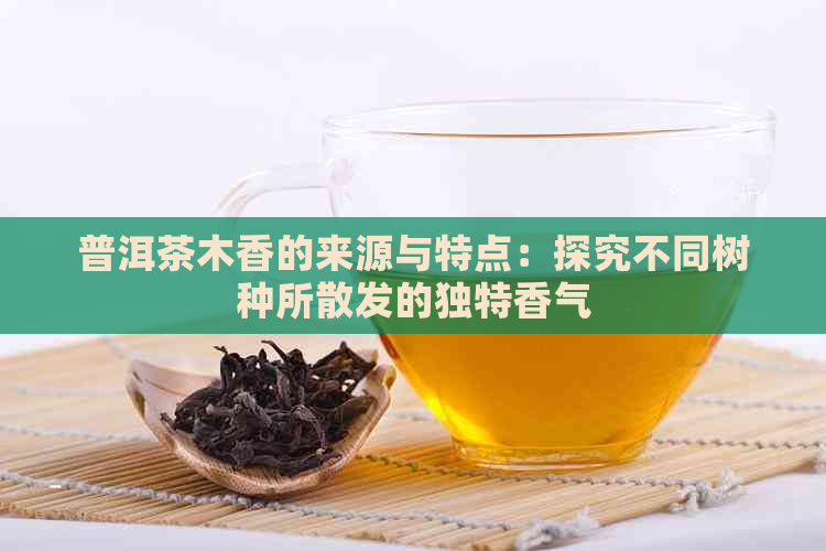 普洱茶木香的来源与特点：探究不同树种所散发的独特香气