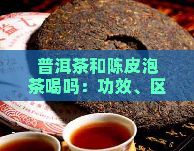 普洱茶和陈皮泡茶喝吗：功效、区别及能否一起泡。