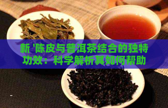 新 '陈皮与普洱茶结合的独特功效：科学解析其如何帮助减肥'