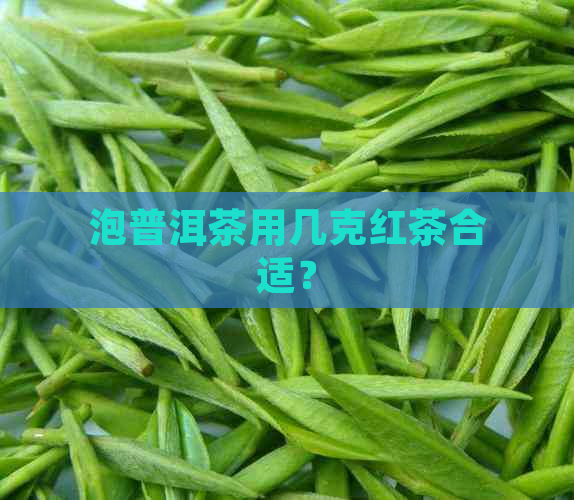 泡普洱茶用几克红茶合适？