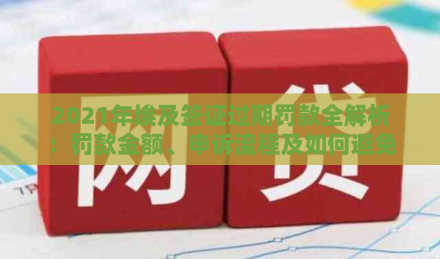 2021年埃及签证过期罚款全解析：罚款金额、申诉流程及如何避免