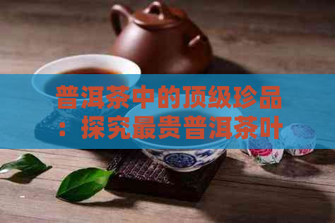 普洱茶中的顶级珍品：探究最贵普洱茶叶的奥秘与价值