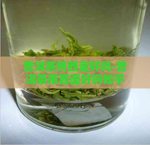 普洱茶用西壶好吗-普洱茶用西壶好吗知乎