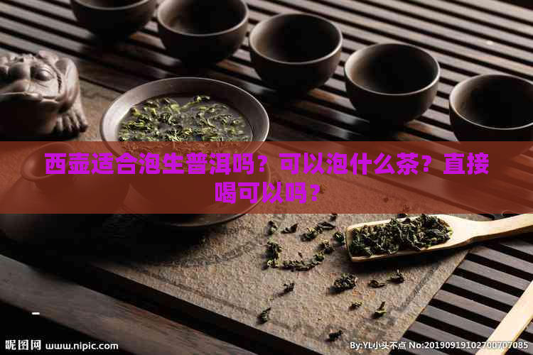 西壶适合泡生普洱吗？可以泡什么茶？直接喝可以吗？