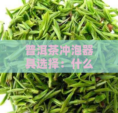 普洱茶冲泡器具选择：什么壶最适合喝普洱茶？