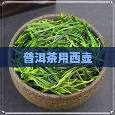 普洱茶用西壶