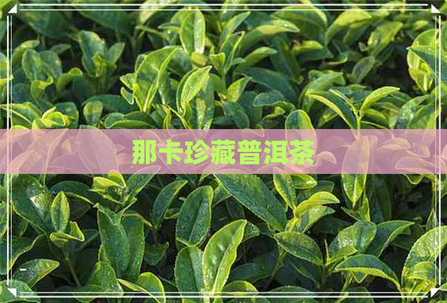 那卡珍藏普洱茶