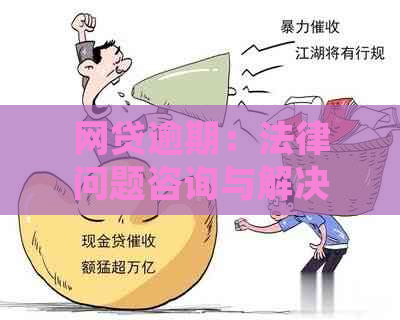 网贷逾期：法律问题咨询与解决专家律师指导