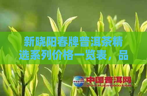 新晓阳春牌普洱茶精选系列价格一览表，品质与价值的完美结合