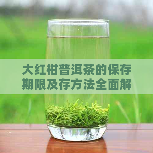 大红柑普洱茶的保存期限及存方法全面解析，让您的茶叶持久新