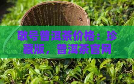 敬号普洱茶价格：珍藏版，普洱茶官网