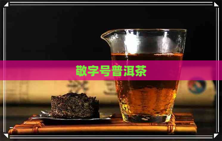 敬字号普洱茶