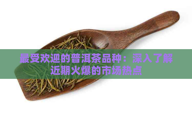 更受欢迎的普洱茶品种：深入了解近期火爆的市场热点