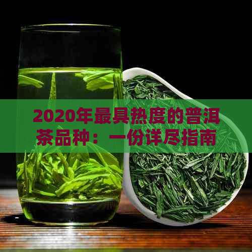 2020年更具热度的普洱茶品种：一份详尽指南，包括陈年老茶、生茶与熟茶