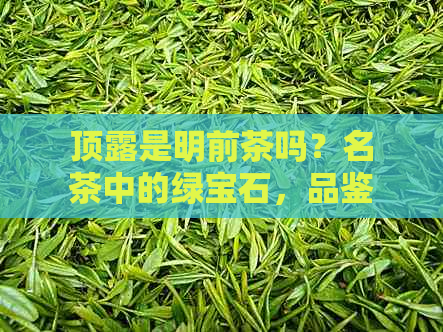 顶露是明前茶吗？名茶中的绿宝石，品鉴十大名茶之首的顶露怎么样？