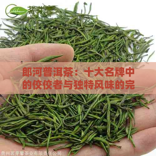 郎河普洱茶：十大名牌中的佼佼者与独特风味的完美结合