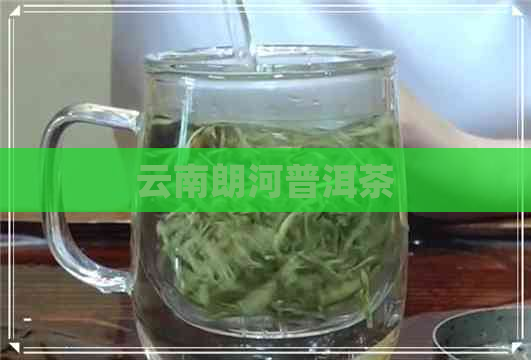 云南朗河普洱茶