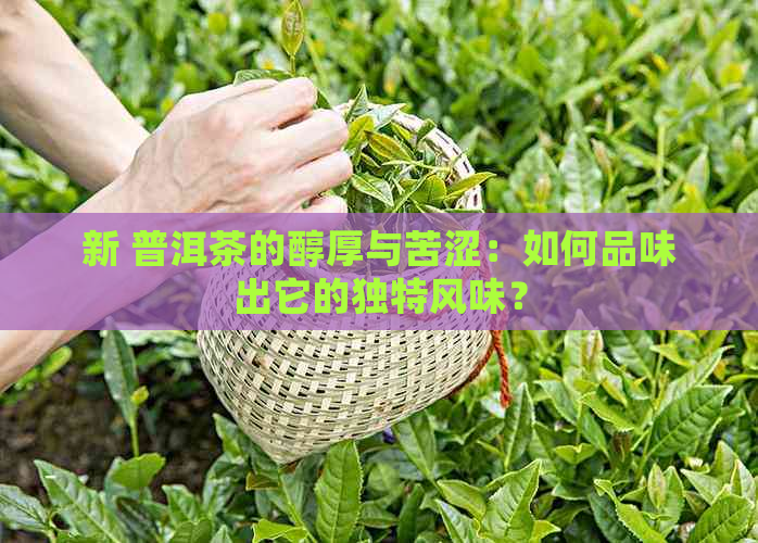 新 普洱茶的醇厚与苦涩：如何品味出它的独特风味？