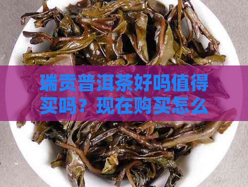 瑞贡普洱茶好吗值得买吗？现在购买怎么样？