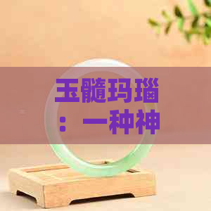 玉髓玛瑙：一种神秘且迷人的宝石收藏品