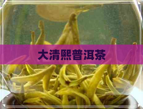 大清熙普洱茶