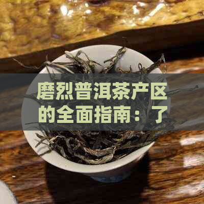 磨烈普洱茶产区的全面指南：了解产地、特点、品种及品尝方法等