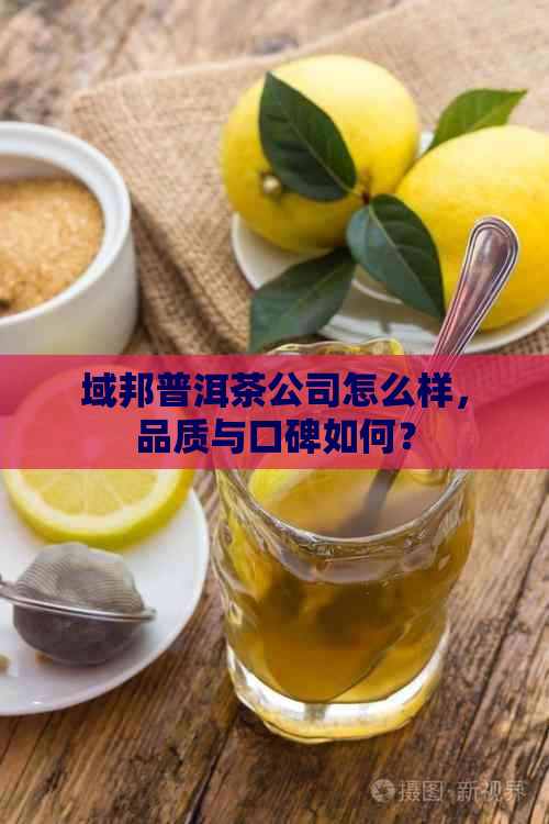 域邦普洱茶公司怎么样，品质与口碑如何？