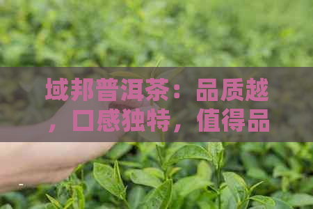 域邦普洱茶：品质越，口感独特，值得品鉴的优质茶叶