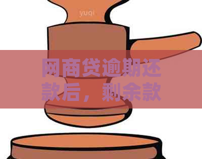 网商贷逾期还款后，剩余款项是否必须一次性还清？如何处理更合适？