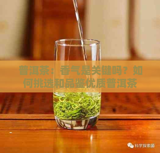 普洱茶：香气是关键吗？如何挑选和品鉴优质普洱茶？