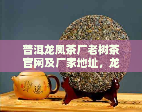 普洱龙凤茶厂老树茶官网及厂家地址，龙凤普洱茶饼等产品一览