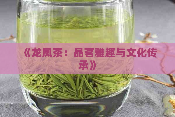 《龙凤茶：品茗雅趣与文化传承》