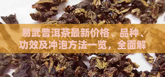 易武普洱茶最新价格、品种、功效及冲泡方法一览，全面解答您的疑问