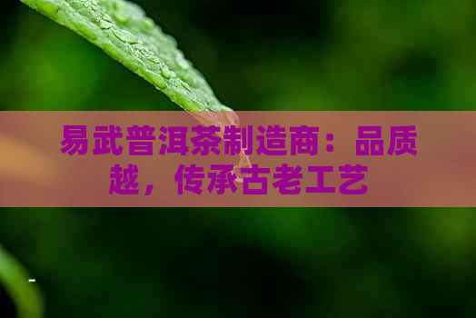 易武普洱茶制造商：品质越，传承古老工艺