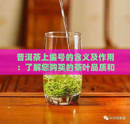 普洱茶上编号的含义及作用：了解您购买的茶叶品质和年份的关键指南