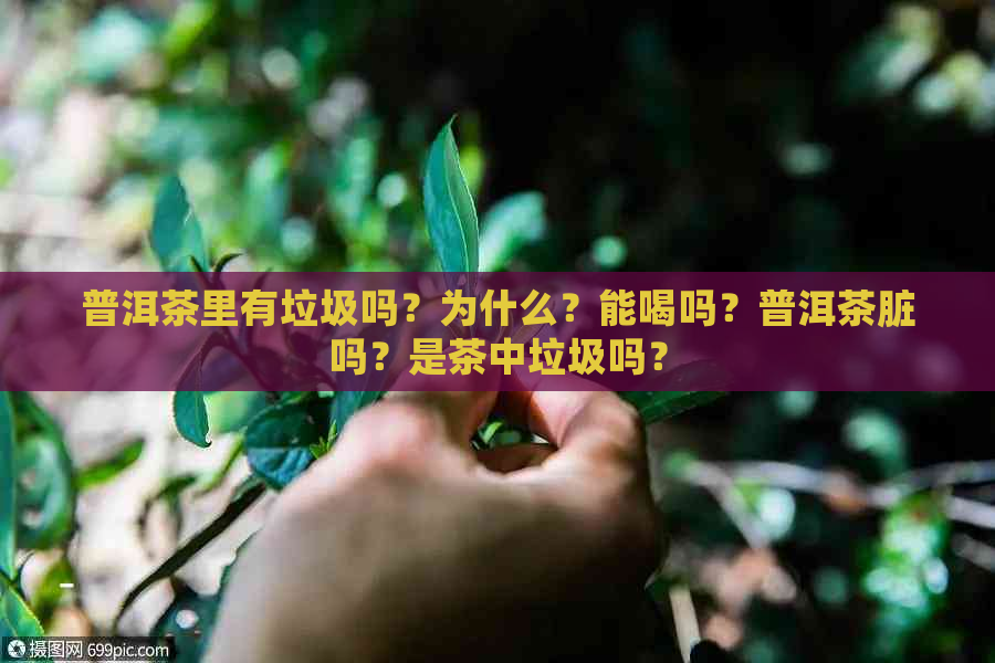 普洱茶里有垃圾吗？为什么？能喝吗？普洱茶脏吗？是茶中垃圾吗？