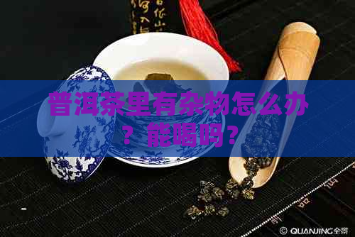 普洱茶里有杂物怎么办？能喝吗？