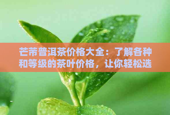 芒芾普洱茶价格大全：了解各种和等级的茶叶价格，让你轻松选购！