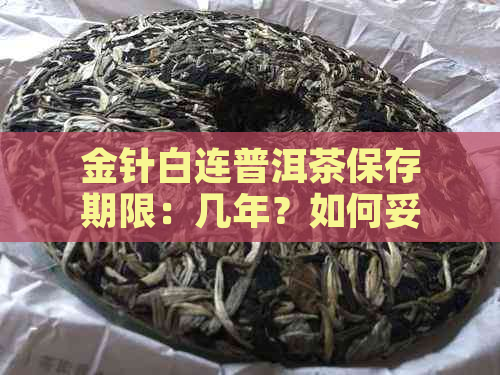 金针白连普洱茶保存期限：几年？如何妥善保存？