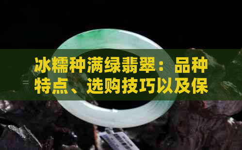 冰糯种满绿翡翠：品种特点、选购技巧以及保养方法全面解析