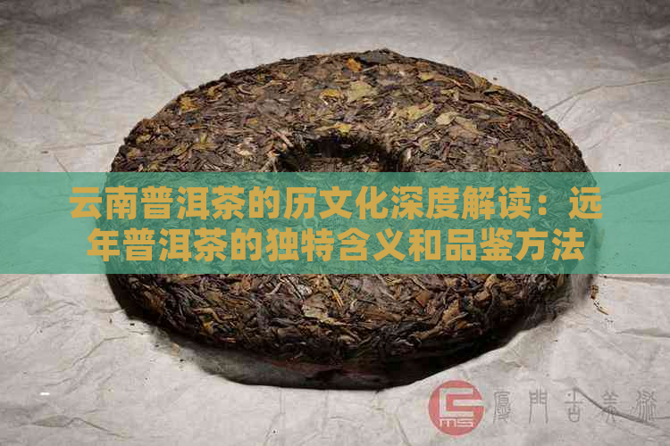 云南普洱茶的历文化深度解读：远年普洱茶的独特含义和品鉴方法