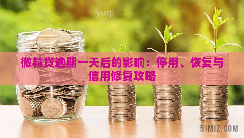 微粒贷逾期一天后的影响：停用、恢复与信用修复攻略