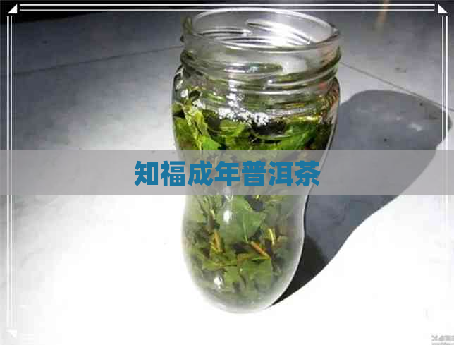 知福成年普洱茶