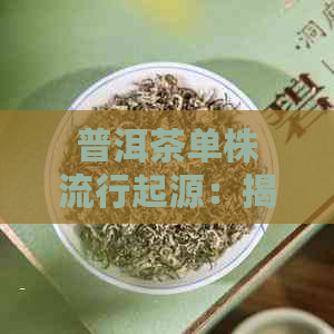 普洱茶单株流行起源：揭秘其历渊源与现代风潮