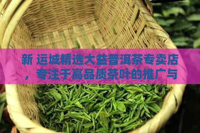 新 运城精选大益普洱茶专卖店，专注于高品质茶叶的推广与销售