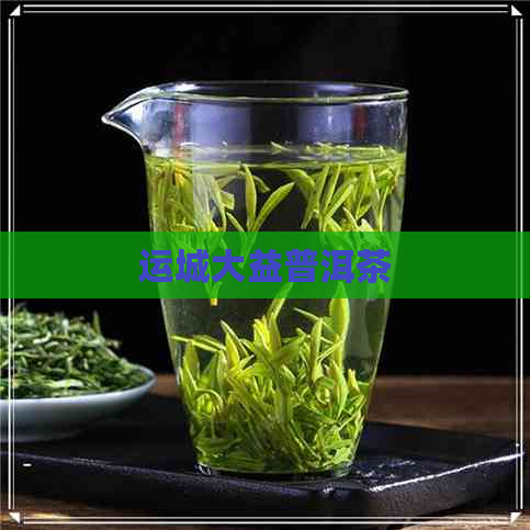 运城大益普洱茶