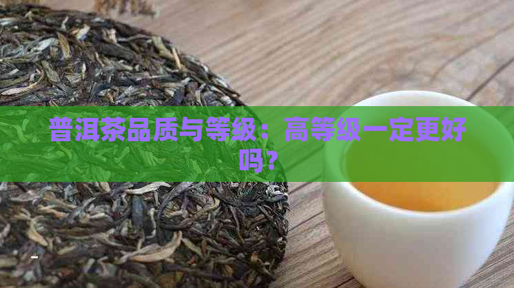 普洱茶品质与等级：高等级一定更好吗？