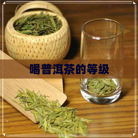 喝普洱茶的等级